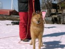 04150014 * 800 x 600 * (147KB)