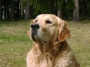 07270033 * 800 x 600 * (227KB)