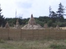 CIMG0902 * 1600 x 1200 * (989KB)