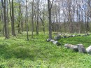 IMG_0737 * 1600 x 1200 * (1.22MB)