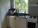IMG_0893 * 1600 x 1200 * (519KB)