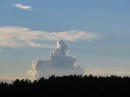 IMG_1595 * 1600 x 1200 * (573KB)