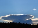 IMG_1597 * 1600 x 1200 * (588KB)