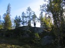 IMG_2011 * 1600 x 1200 * (795KB)