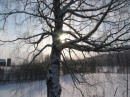 IMG_2194 * 1600 x 1200 * (907KB)