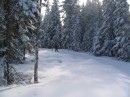 IMG_2209 * 1600 x 1200 * (685KB)