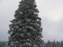 IMG_2212 * 1600 x 1200 * (530KB)