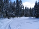 IMG_2231 * 2048 x 1536 * (1.13MB)