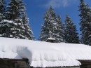 IMG_2234 * 2048 x 1536 * (995KB)