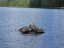 IMG_2778 * 1600 x 1200 * (680KB)