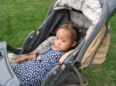 IMG_3069 * 1600 x 1200 * (1.26MB)