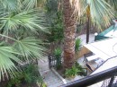 IMG_3239 * 1600 x 1200 * (1.41MB)