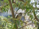 IMG_3268 * 1600 x 1200 * (1015KB)