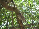 IMG_3269 * 1600 x 1200 * (1.07MB)
