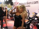 IMG_3774 * 1600 x 1200 * (814KB)