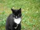 IMG_0136 * 3264 x 2448 * (2.27MB)