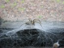 IMG_0182 * 3264 x 2448 * (2.22MB)