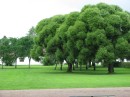IMG_0185 * 3264 x 2448 * (3.35MB)