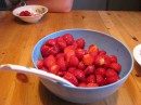 IMG_0245 * 3264 x 2448 * (2.22MB)