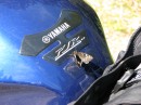 IMG_0329 * 3264 x 2448 * (2.67MB)