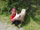IMG_0568 * 2592 x 1944 * (2.48MB)